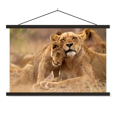 Produktbild von MuchoWow® Textilposter Löwe - Wilde Tiere - Jungtier 90x60 cm mit schwarzem Rahmen - Aufhängungssatz