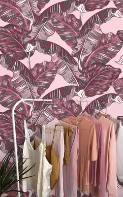 Produktbild von Coloray Fototapete 208x146 cm Latextapete Magicstick - Palm verlässt Bananenblatt