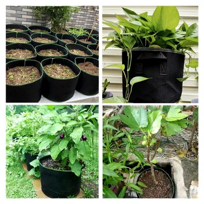 Produktbild von 6 x 20L Pflanzsack mit Griffen, 5 Gallonen Pflanztasche für Kartoffeln, Tomaten, Blumen und Gemüse