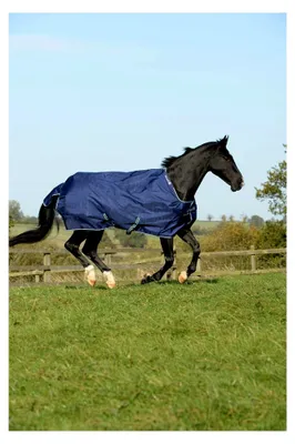 Produktbild von " Smartex Rain BIG NECK " Regen - und Outdoordecke Größe 140cm