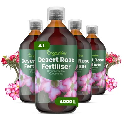 Produktbild von Wüstenrosen Flüssigdünger 4x1L – 2-1-8 NPK – Flüssigdünger Für Sukkulenten – Für Blätter & Üppige Blüte – Fördert Wurzeln & Vitalität – Organifer