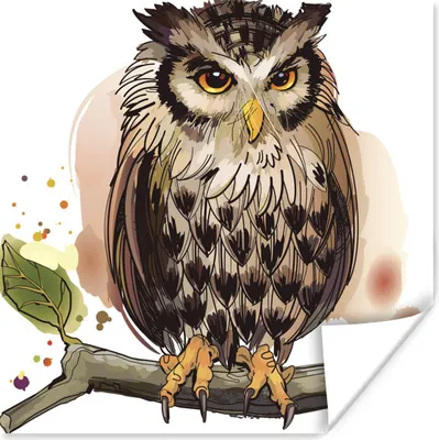 Produktbild von MuchoWow® Poster Naturgetreue Illustration einer Eule 75x75 cm - Wand Dekoration