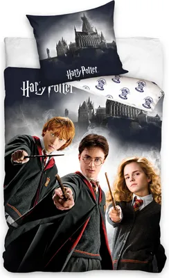 Produktbild von Harry Potter Renforce Bettwäsche 80x80 + 135x200 cm, 100% Baumwolle