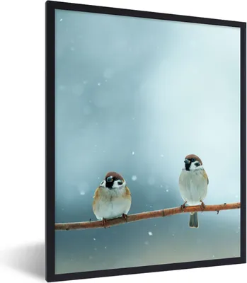 Produktbild von MuchoWow® Gerahmtes Poster Vögel - Spatz - Schnee - Winter 60x80 cm - Poster mit Schwarzem Bilderrahmen Wandposter Rahmen Foto Bilder - Premium - Wanddeko Wohnzimmer