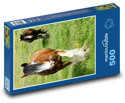 Obrázek produktu pro Puzzle 500 Koně na rozkvetlé louce - martinpuzzle