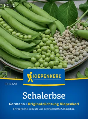 Produktbild von Kiepenkerl Schalerbsensamen Germana Pisum sativum sativum 6-8 lfd. Meter