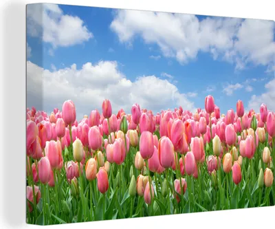 Produktbild von OneMillionCanvasses® - Leinwandbilder - 150x100 cm, Farben - Tulpen - Frühling, Wandbilder Kunstdruck Wanddekoration