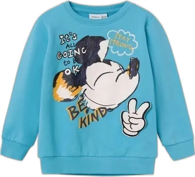 Immagine prodotto di Maglione Name It 13221200-BLUE da Bambini