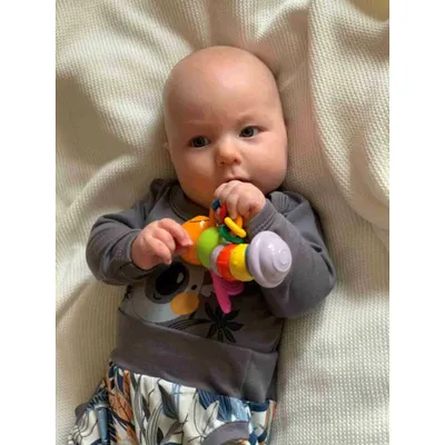 Obrázok produktu pre Bambusová strieška NEW BABY 100x80 cm lila