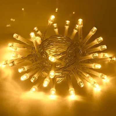 Imagen del producto de Guirnalda de luces LED, 5 metros, 50 LEDs, con temporizador, luz blanca cálida