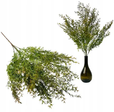 Image de Inspiruj Bouquet de feuilles Asparagus Artificiel 60 cm Décoration