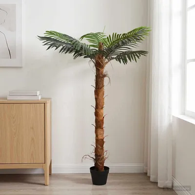 Image de Arbre Cocuspalm artificiel Vert 70 x 18 x 140 cm
