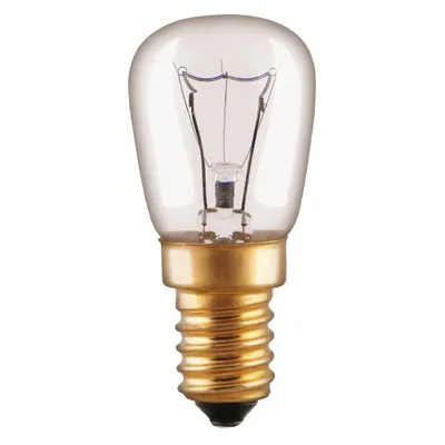 A clear studio shot of a light bulb.