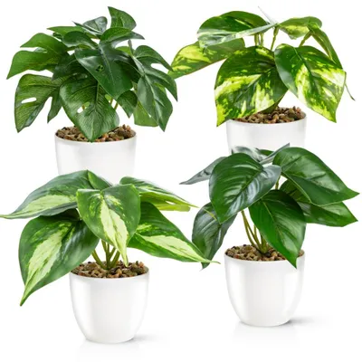 Image de Lot de 4 plantes artificielles réalistes (18 cm) dans des pots en céramique ultra-brillants | Plantes artificielles en pot | Fleurs artificielles, plantes artificielles