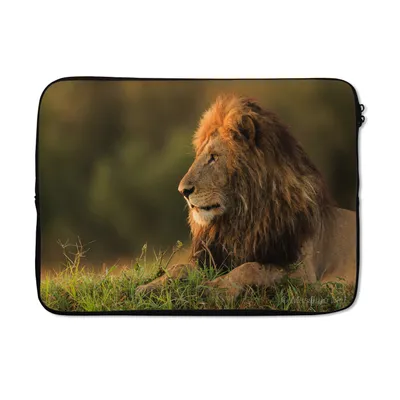 Produktbild von MuchoWow® Laptop Hülle 14 ZollSonnenaufgang - Löwe - Gras Laptoptasche - Laptoptasche - Stoßsicher - Schutzhaube