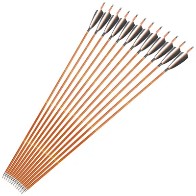 Immagine prodotto di Set di 12 frecce da tiro con l'arco - Spine 500 - Fusto in fibra di carbonio - Piume naturali di 10 cm - Punta filettata da 100 grain, circa 6,5 g - Lunghezza 80 cm - Colore nero