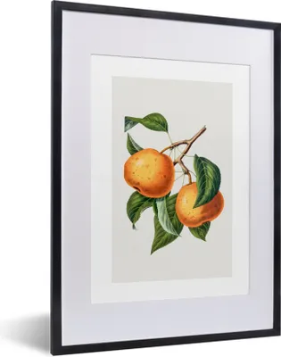 Produktbild von MuchoWow® Gerahmtes Poster Früchte - Blätter - Lebensmittel 30x40 cm - Poster mit Schwarzem Bilderrahmen Wandposter Rahmen Foto Bilder - Wandposter Schlafzimmer