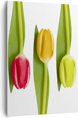 Produktbild von Bild auf Leinwand - Leinwandbild - Einteilig - Tulpe Blume Garten Komposition - 70x100cm - Wand Bild - Wandbilder - Leinwanddruck - Wanddekoration - Leinwand bilder - Wandbild - PA70x100-2360