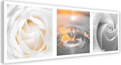 Produktbild von Leinwandbild rosenblüten wassertropfen 150x50 cm Feeby grau wandbild bereit zum aufhängen