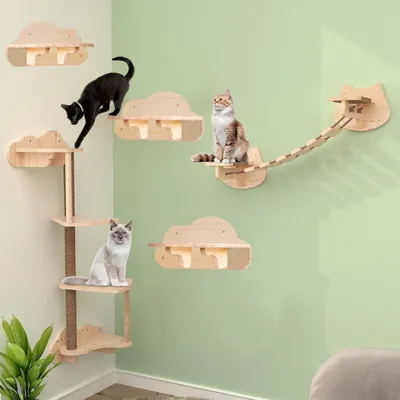 Produktbild von Klimwand für Katzen - Wandmontage - Massives Gummiholz
