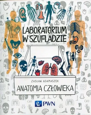 Immagine prodotto di Laboratorium w szufladzie Anatomia człowieka