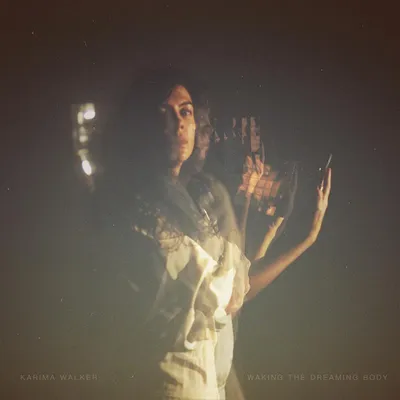 Produktbild von Waking The Dreaming Body