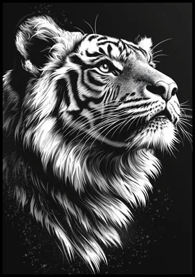 Produktbild von Plakat 70x100cm Tierporträt für das Wohnzimmer | Tiger 3 | Schwarz Weiß