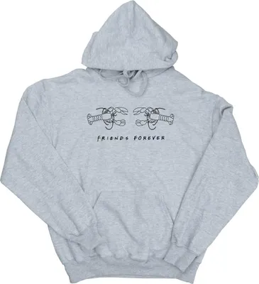 Immagine prodotto di Friends - Felpa con cappuccio da uomo BI10943 (XL) (Grigio)
