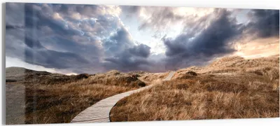 Produktbild von DEQORI Glasbild Echtglas 125x50 cm 'Goldener Pfad' Wandbild Bild modern Deko