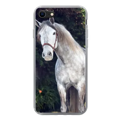 Produktbild von MuchoWow® Handyhülle Schutzhülle Hülle für iPhone SE 2020 Pferd - Halfter - Natur Silikon Softcase Handy Hülle - Kartenbesitzer