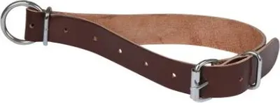 Produktbild von Ziegen-Schaf-Halsband aus Leder