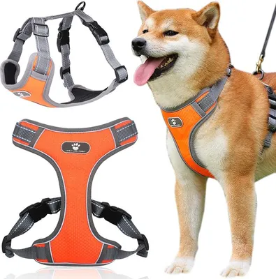Immagine prodotto di Pettorina per cani ASTRO arancione taglia L