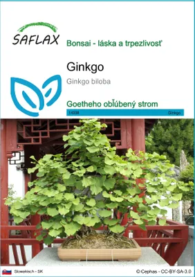 Obrázok produktu pre SAFLAX - ginkgo - Ginkgo biloba - 4 Semená