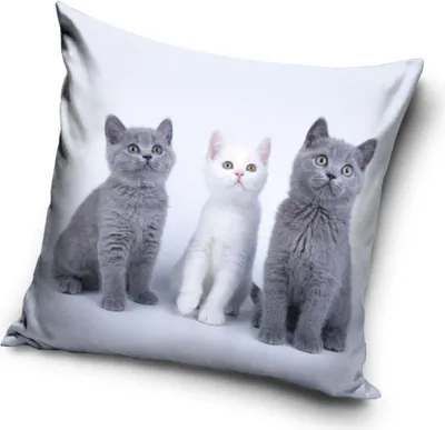 Immagine prodotto di Cat Trio Fodera per cuscino decorativo 40x40 cm Velluto