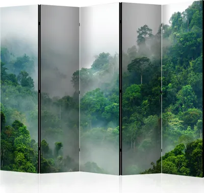 Produktbild von 5-teiliger Doppelseitiger Vlies Paravent - Morning Fog II 225x172 cm c-B-0346-z-c