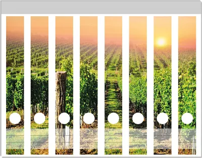 Produktbild von Wallario Ordnerrücken Sticker, selbstklebend für schmale Ordner, 8 Stück, Motiv Weinberg mit untergehender Sonne