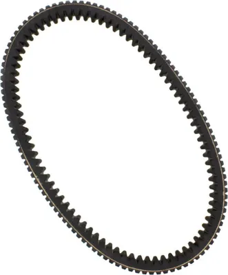 Immagine prodotto di Cinghia trasmissione DAYCO XTX2236