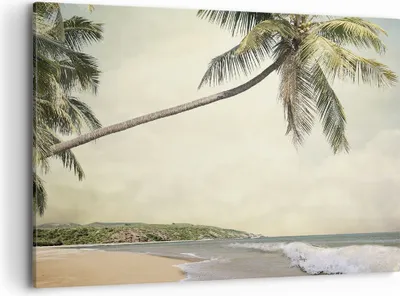 Produktbild von Bild auf Leinwand - Leinwandbild - Einteilig - Palme Strand Insel - 100x70cm - Wand Bild - Wanddeko - Wandbilder - Leinwanddruck - Bilder - Wanddekoration - Leinwand bilder - Wandbild - AA100x70-4154