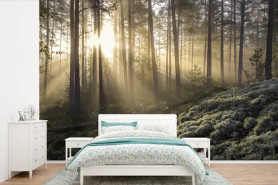 Produktbild von MuchoWow® Fototapete für Wohnzimmer oder Schlafzimmer Wandtapete Vinyl Motivtapete Wald - Baum - Sonne - 600x400 cm - Vinyltapeten