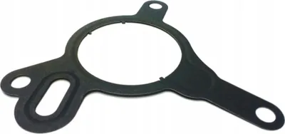 Immagine prodotto di VOLVO S60 V60 S80 V40 Guarnizione pompa vuoto OE 31430547