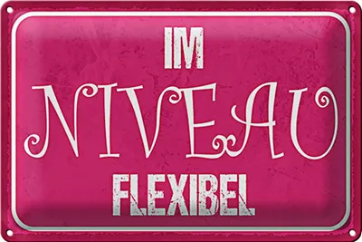 Produktbild von Blechschild Spruch 30x20cm Im NIVEU flexibel