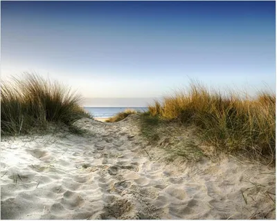 Produktbild von Wallario Poster - Weg durch die Dünen zum Strand am Meer, Kunstdruck Größe: 40 x 50 cm