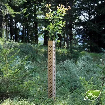 Produktbild von 50 x Forst Baumschutzhülle, BioWit FMX - Höhe 120 cm, Verbiss- und Fegeschutz