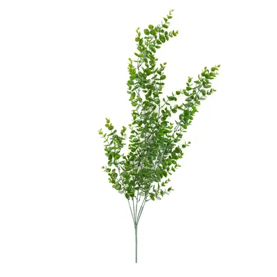 Obrázek produktu pro HOMLA Umělá větev TANUM Eukalyptus 80 cm