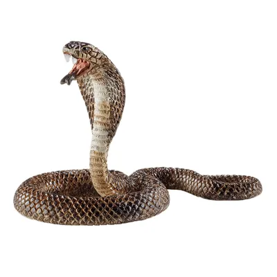 Produktbild von Schleich 14733 - Kobra, Tier Spielfigur