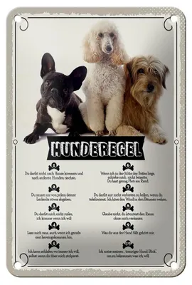 Produktbild von Blechschild Spruch 12x18cm Hunderegel schlafen wo ich will Dekoration
