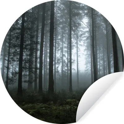 Produktbild von MuchoWow® Runde Wandtattoo - Wandsticker Tapete Aufkleber Wald - Licht - Nebel Ø 50 cm Selbstklebend und Repositionierbar - Wandaufkleber - Kreis - Wand Kreis - Wand Bild - Foto Tapete - Selbstklebende - Wohnzimmerdekoration - Wand Dekoration - Kinderzimmer