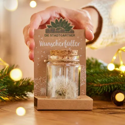 Produktbild von Großer Wunscherfüller Pusteblume im Glas Handgemachtes Geschenk mit echten