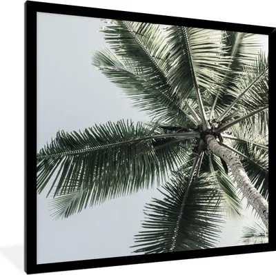 Produktbild von MuchoWow® Gerahmtes Poster Palme - Tropisch - Sommer 40x40 cm - Poster mit Schwarzem Bilderrahmen Wandposter Rahmen Foto Bilder - Mit Rahmen - Wanddekoration Schlafzimmer