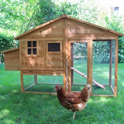 Produktbild von Hühnerhaus Kleintierstall Hasenstall Kaninchenstall Liese